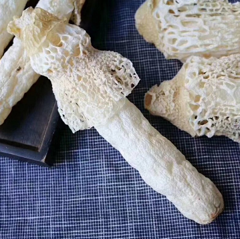 一位专业厨师在厨房操作台上仔细清洗并剪除长裙竹荪的菌盖和菌托,手中握着洁白完整的菌裙部分,周围摆放着其他高档食材,背景为中式餐厅后厨环境 厨师正在处理新鲜长裙竹荪用于高端菜肴制作