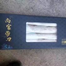 精品刀鱼尚官带刀精品刀鱼