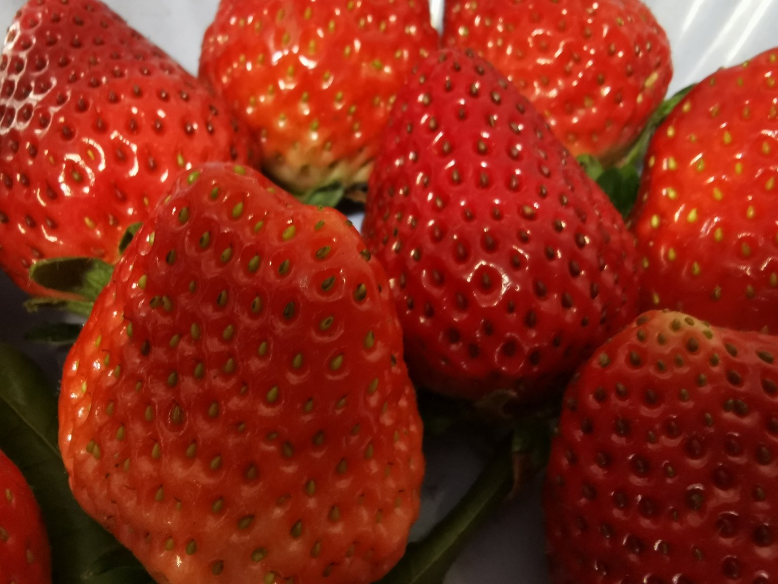 奶油草莓特写