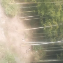 大山里土鸡和土鸡蛋，土鸭，土哦土鸡和土鸡蛋，土鸭，土