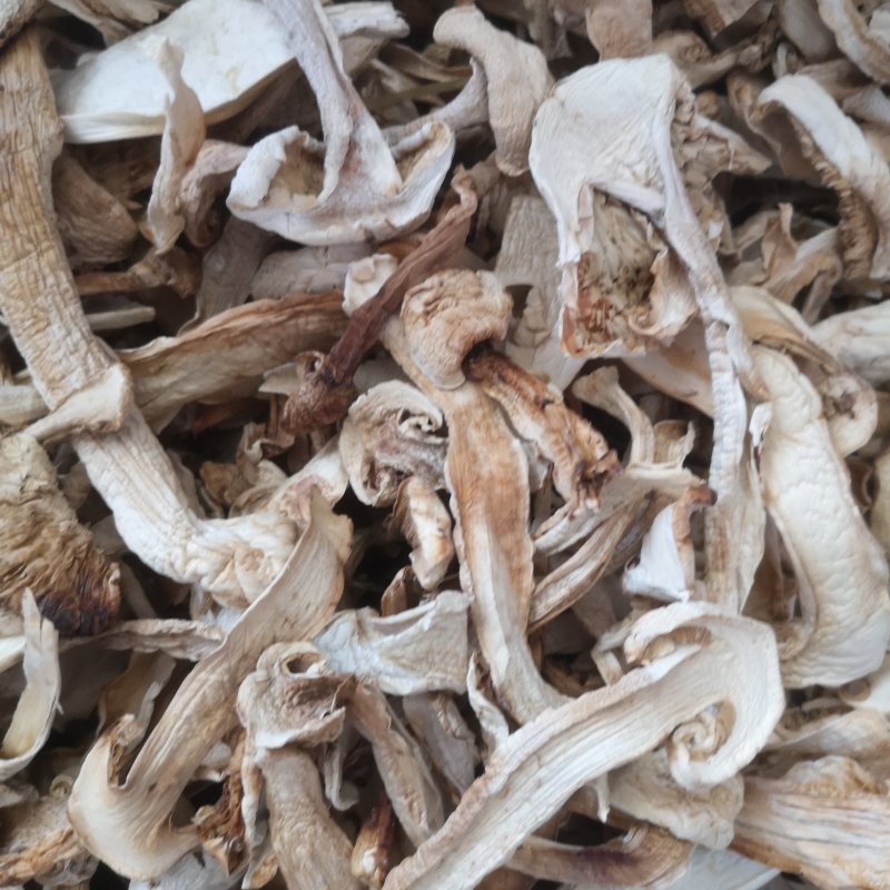 大量批发长白山松茸干片野生松茸食用菌松茸