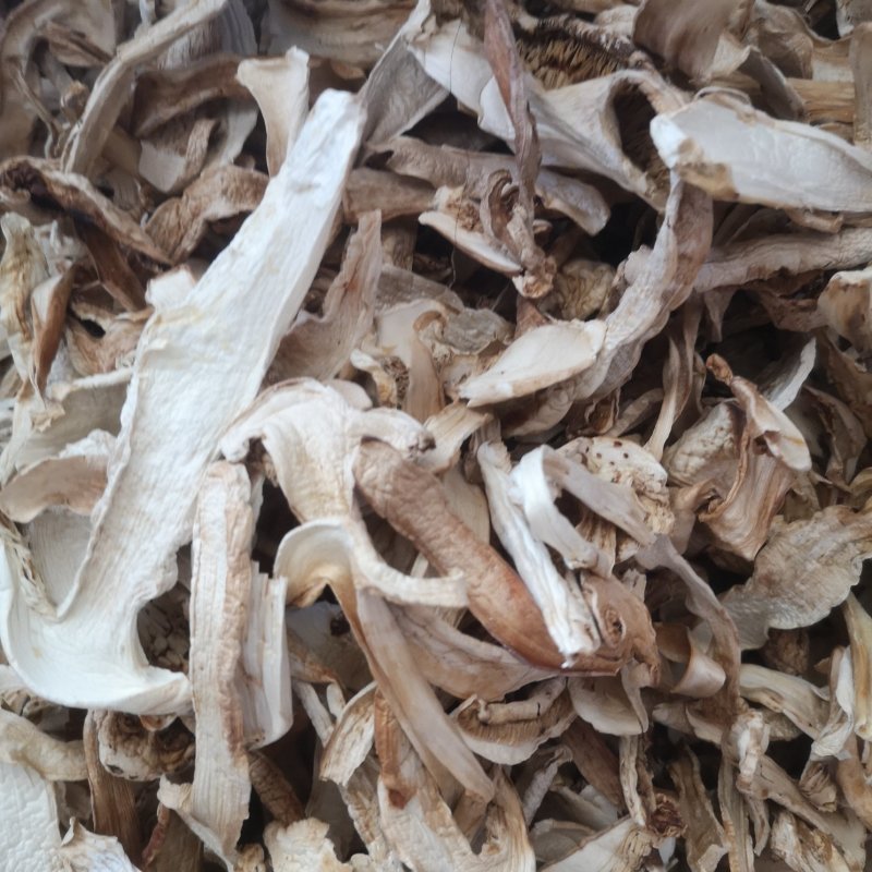 大量批发长白山松茸干片野生松茸食用菌松茸