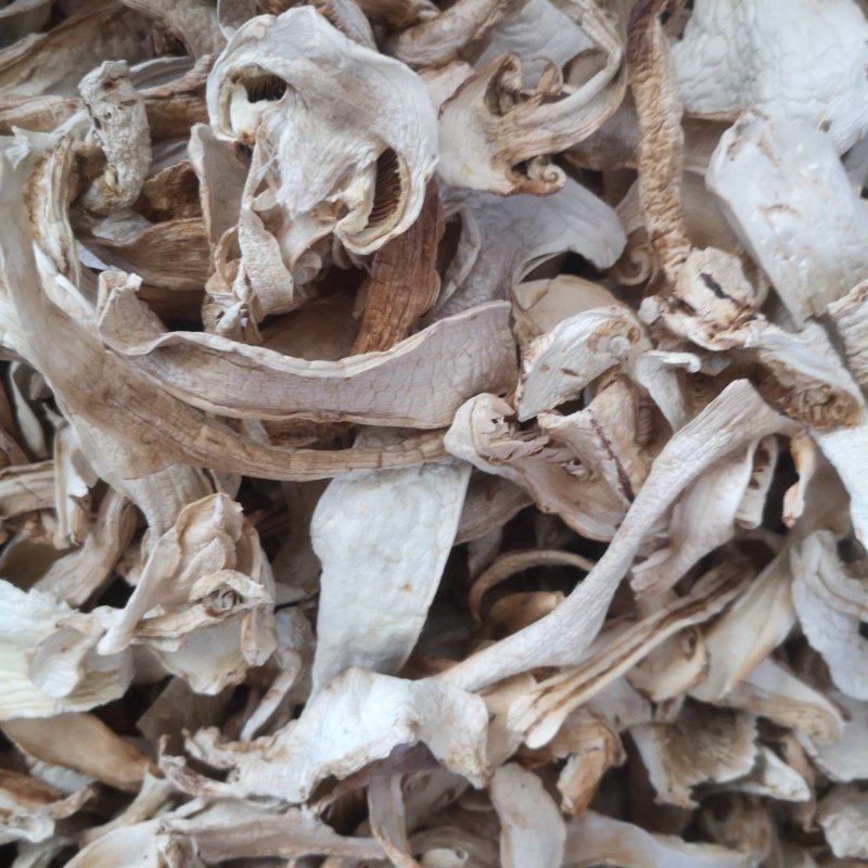 大量批发长白山松茸干片野生松茸食用菌松茸