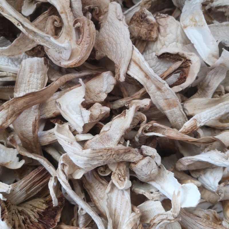 大量批发长白山松茸干片野生松茸食用菌松茸