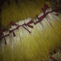 原产地蒜黄保质保量价格美丽