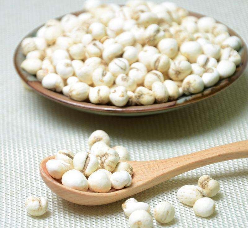 藏贝母粉末显微结构与化学成分分析图