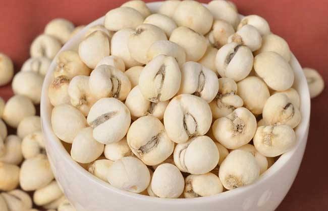 高原采挖藏贝母场景