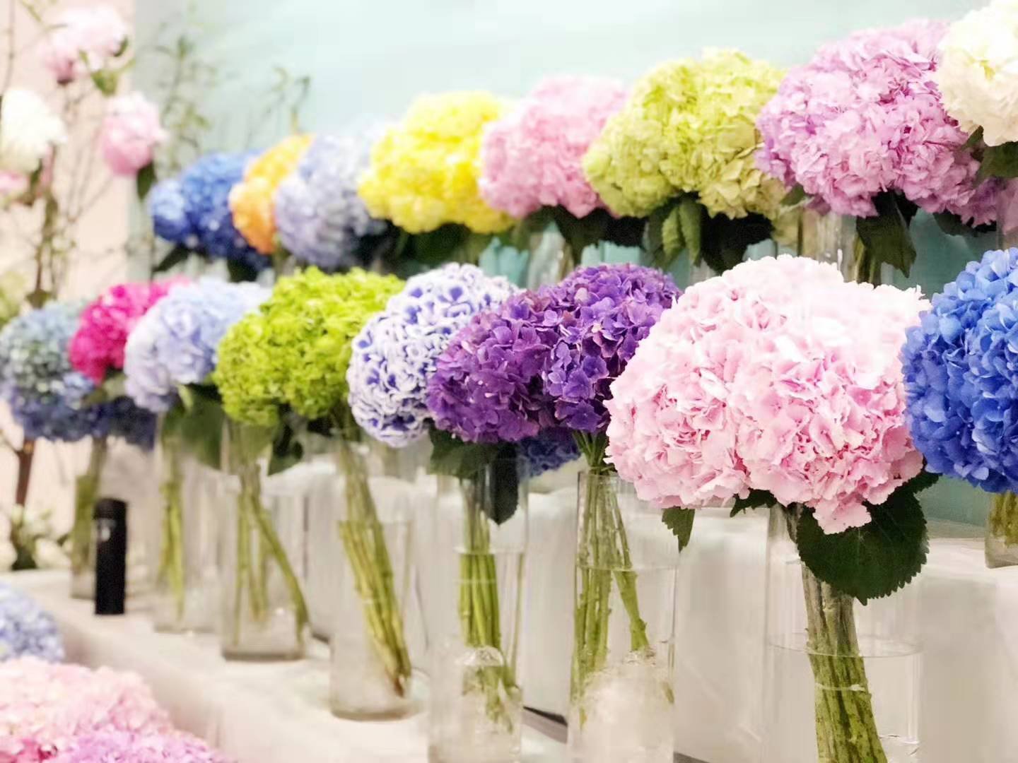 百合花与不同风格花瓶搭配展示