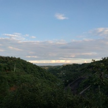 山林承包带林权证