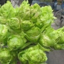 四川精品儿儿菜抱儿菜泡菜专供基地专业代办