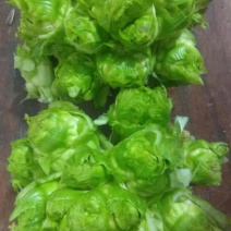儿菜，南充菜，娃儿菜，抱儿菜，精品儿菜，