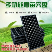 穴盘，穴盘，育苗盘营养钵塑料蔬菜苗加厚穴盘厂家供货