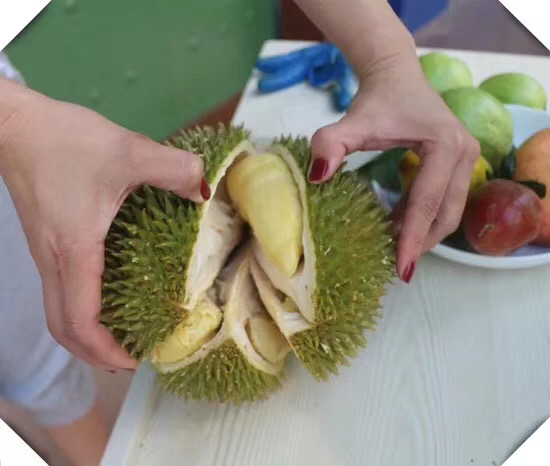 榴莲核烹饪过程图