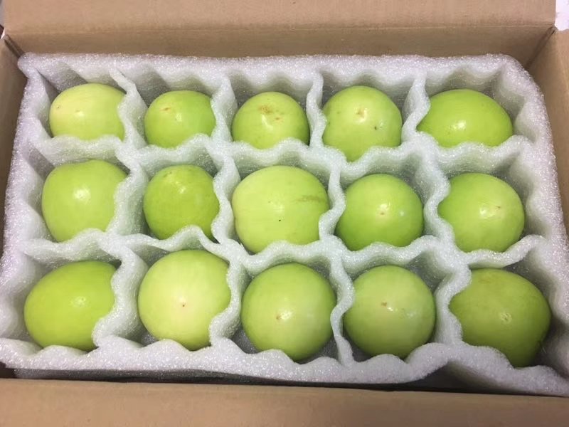 精品包装的大叶青枣礼盒