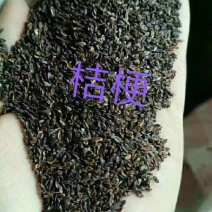 纯新桔梗籽，已过风机基地直发量大从优品质优