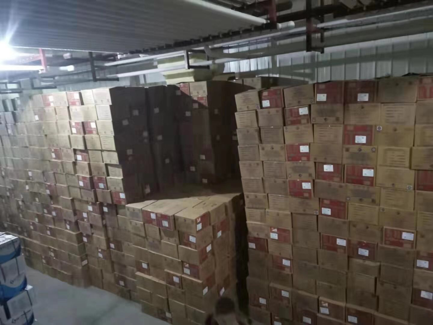 共泰对虾收获现场