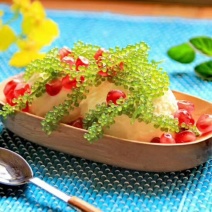 海葡萄山东淄博新鲜海葡萄干货海澡海洋蔬菜