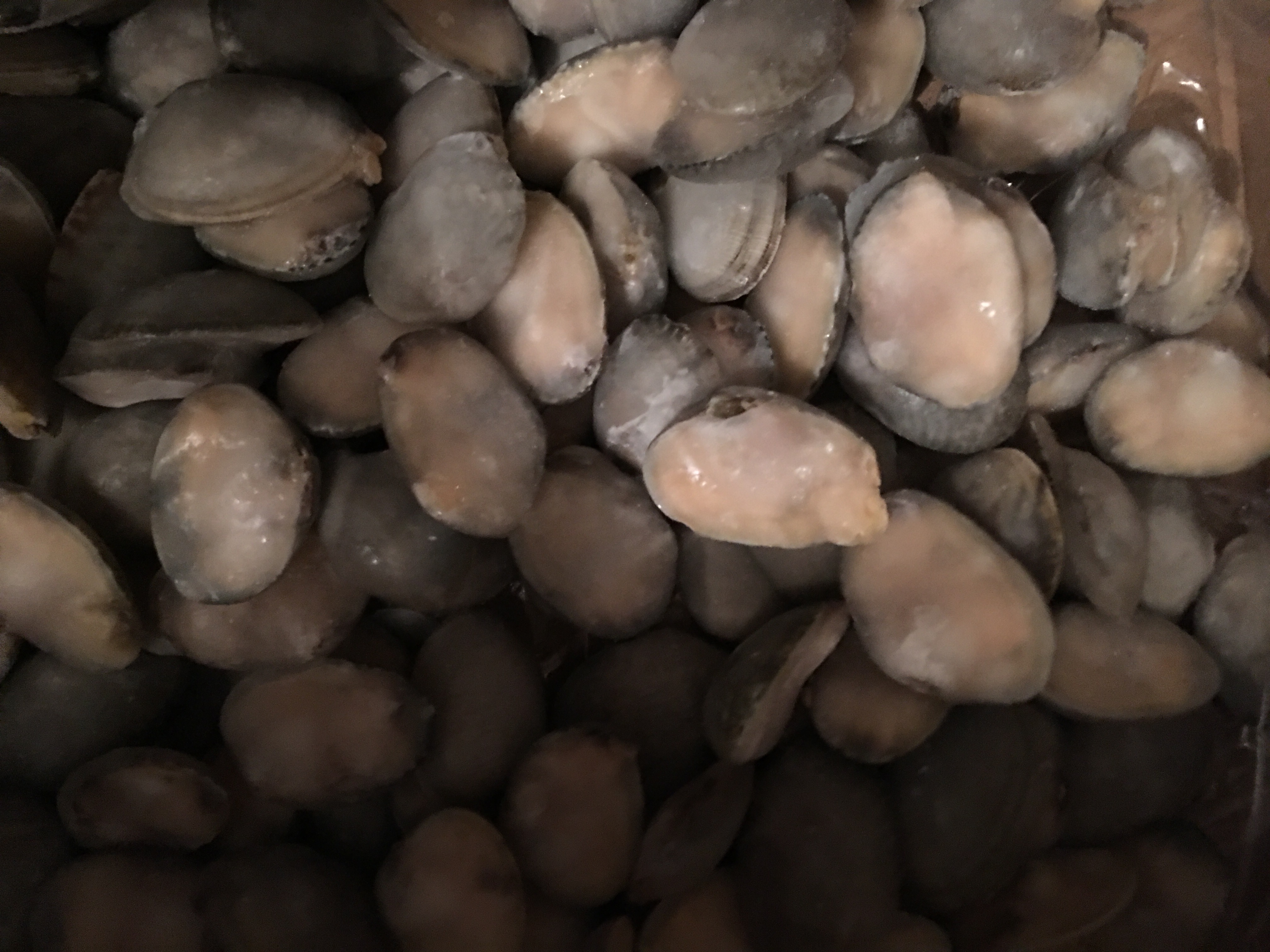 信息图表形式展示花蛤肉的主要营养成分,包括蛋白质、铁、锌、硒、牛磺酸等关键指标,配有对比柱状图显示与其他常见海鲜的营养差异,背景为蓝色海洋风格 花蛤营养成分表示意图