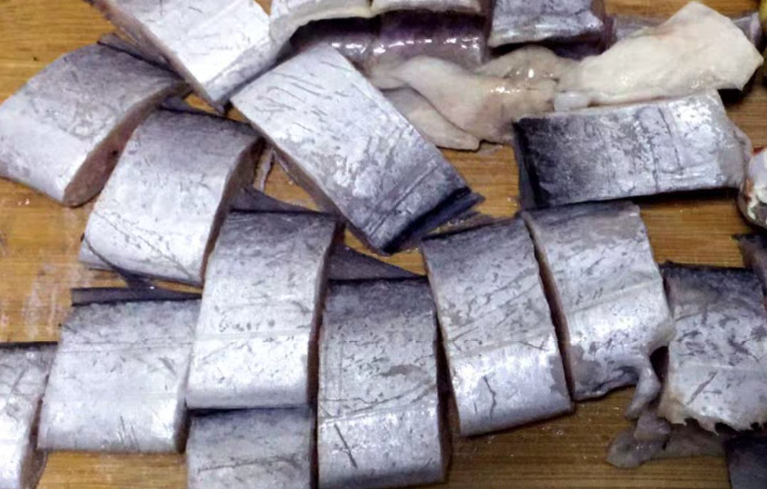 展示一条带鱼在蔚蓝海洋中游动的自然场景,背景为珊瑚礁与浮游生物 带鱼在海洋中的生活场景