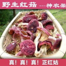 【实图拍摄】聚便宜福建野生红菇干货礼品代装包邮当天发货