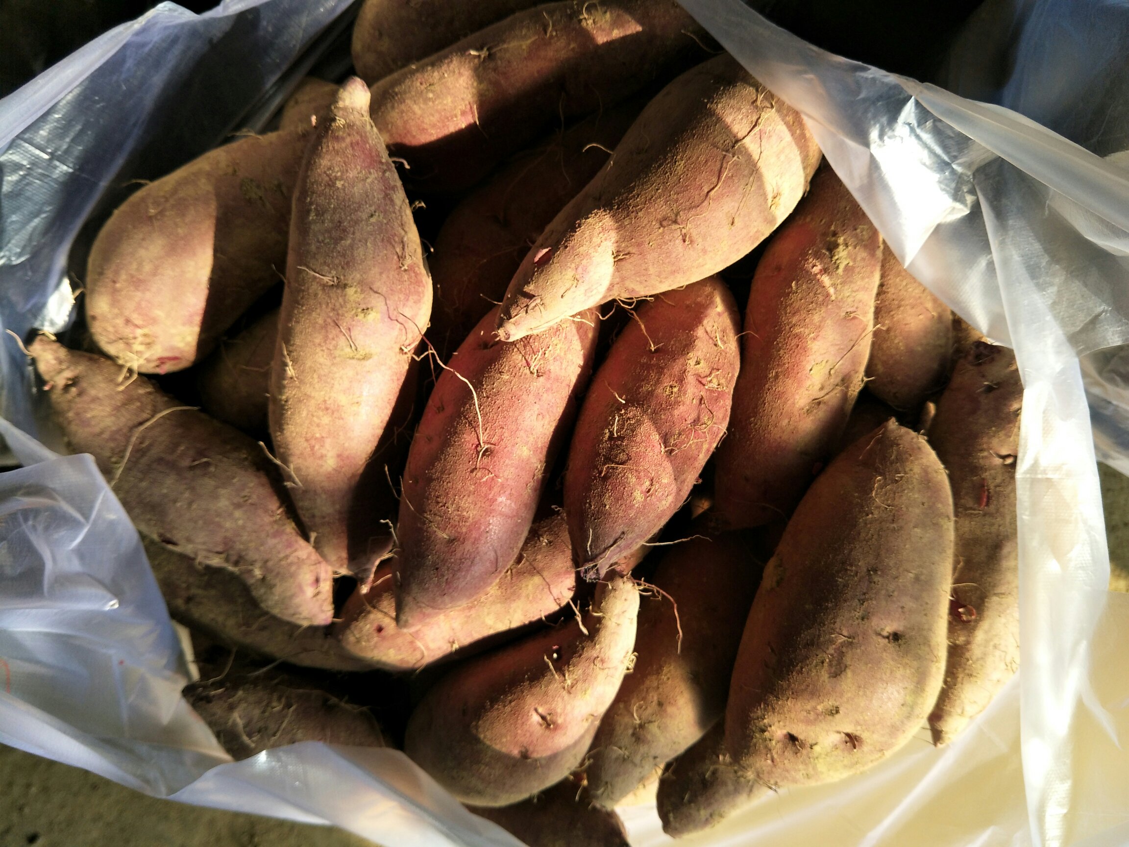 画面左侧为手工编织的浅棕色粗麻布袋,内装饱满卷曲的深紫褐色紫薯干;右侧为透明玻璃密封罐,清晰展现薯干自然褶皱与紫红渐变色泽;背景为原木料理台,散落几粒完整干制紫薯与一枝干枯紫薯藤,强调‘从田间到储存’的全链路自然属性 晒干完成的紫薯干装入粗麻布袋与玻璃罐的对比陈列