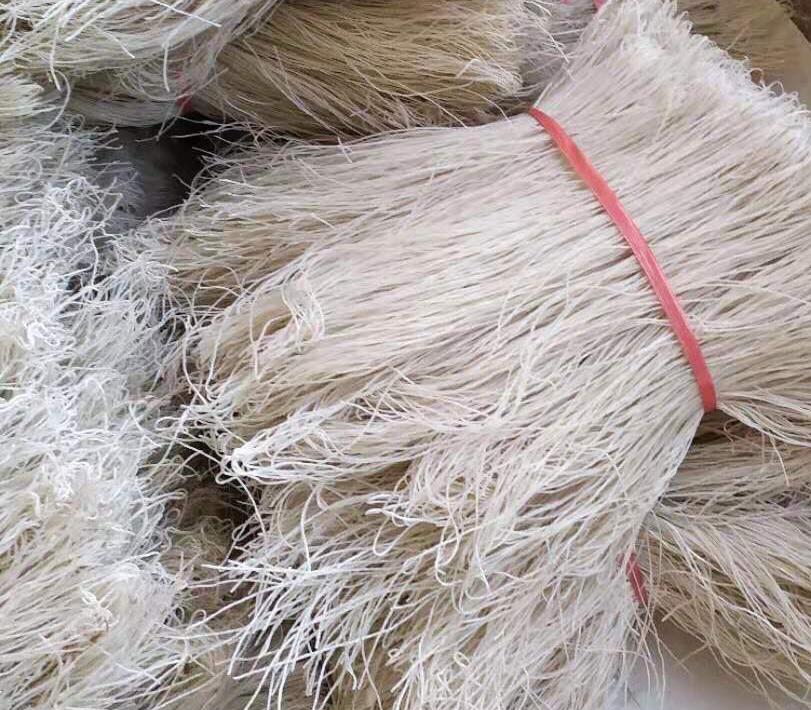 藤本月季三层水平牵引架实景图