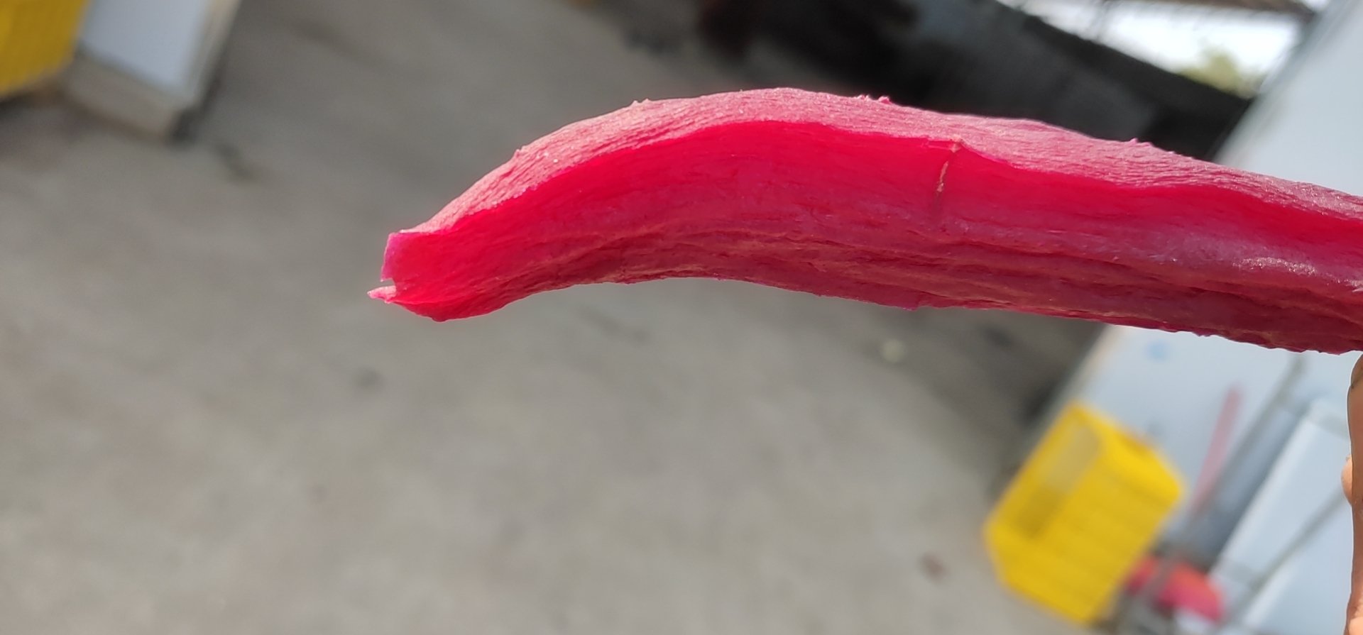 红薯与红薯干营养对比图