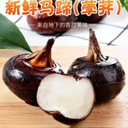 广东韶关珍珠马蹄价格行情走势 - 一亩田