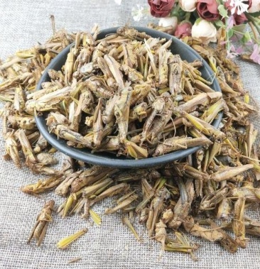 蝗虫蚂蚱蚱蜢正品保证质量无理由退货退款丽丽药业