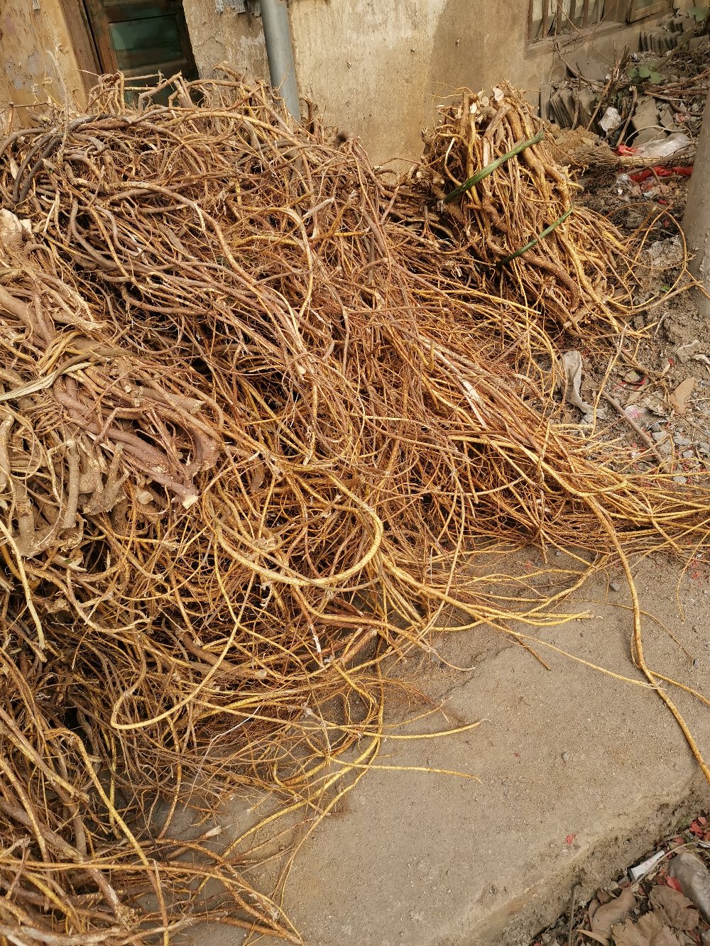 野生五指毛桃足干无硫原条小叶五指可按规格加工省内包邮