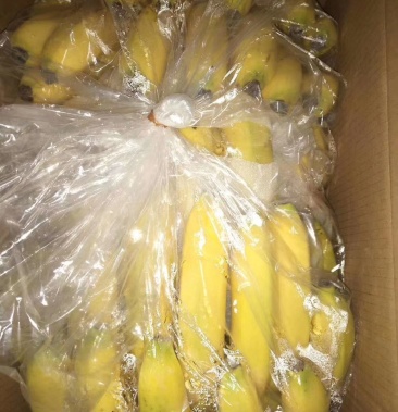 [香蕉批发]全国发货,生蕉大黄二黄大量有货,量大从优价格23.