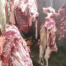 驴肉