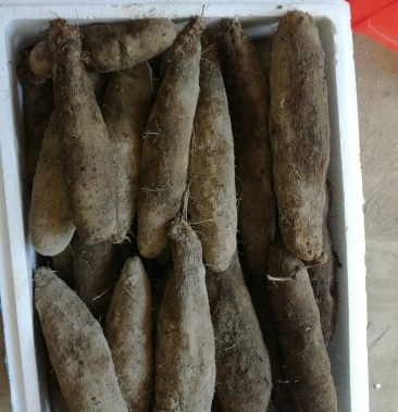 [批发]薯芋类价格1.50元/斤 - 一亩田