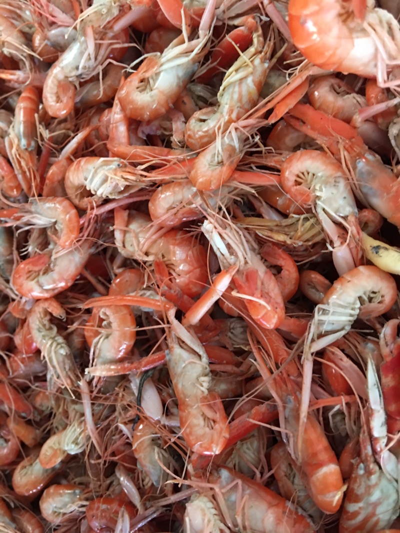 爪虾铁皮虾狗虾红虾