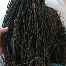 精品干豆角