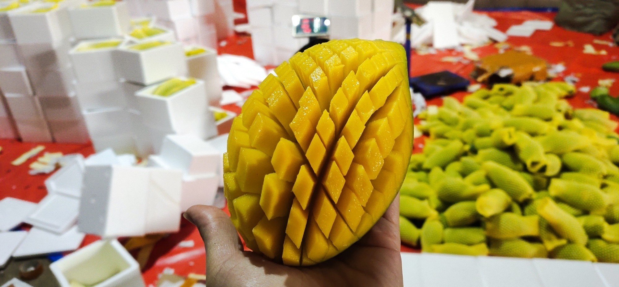 大青芒去皮操作示意图