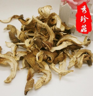 秀珍菇干货秀珍菇正品保证质量中药材批发丽丽药业