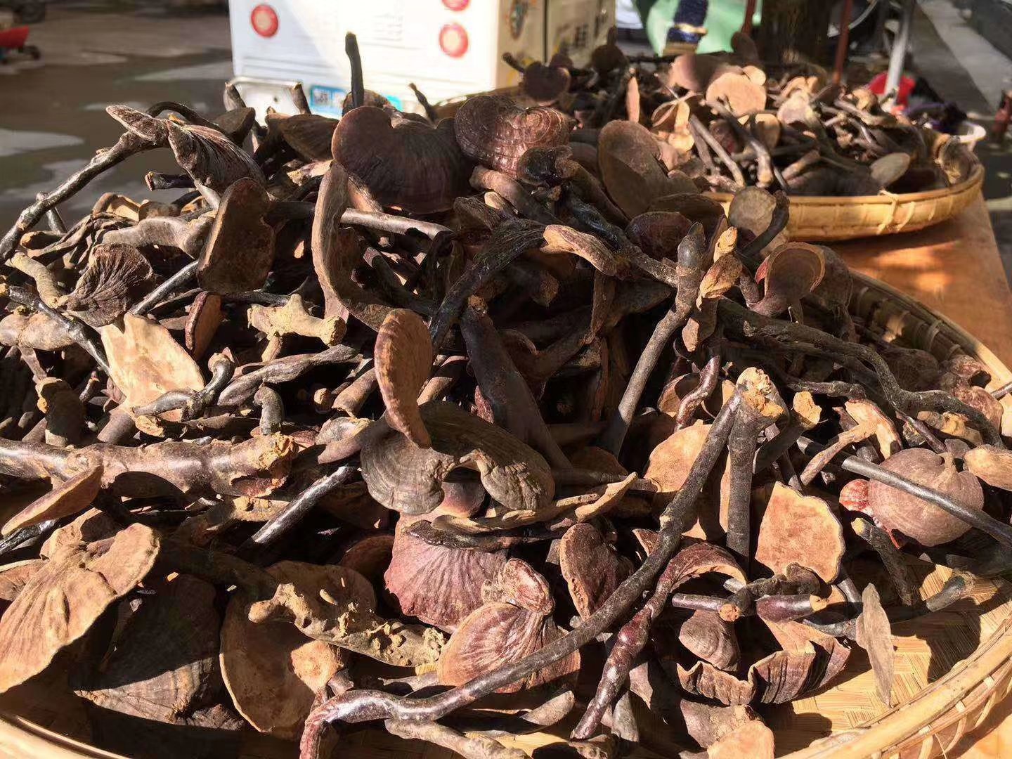 竹灵芝切片与整根煎煮效果对比图