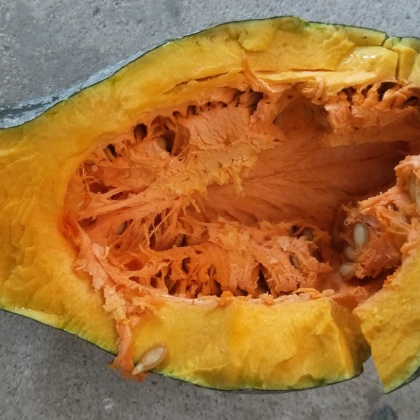 天津qq南瓜产地行情