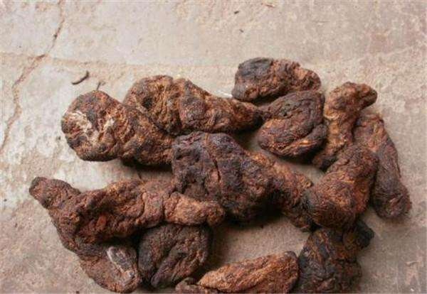 熟地黄选购标准示意图,展示优质熟地黄的外观特征和质地 熟地黄选购标准示意图