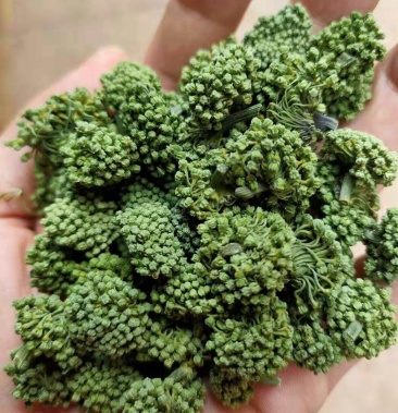 三七花三七花茶泡水正品无硫包邮