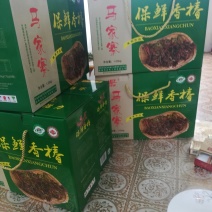 保鲜香椿芽