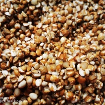 广东揭阳薏米900g潮汕特产新货新鲜农家小薏米仁粗粮