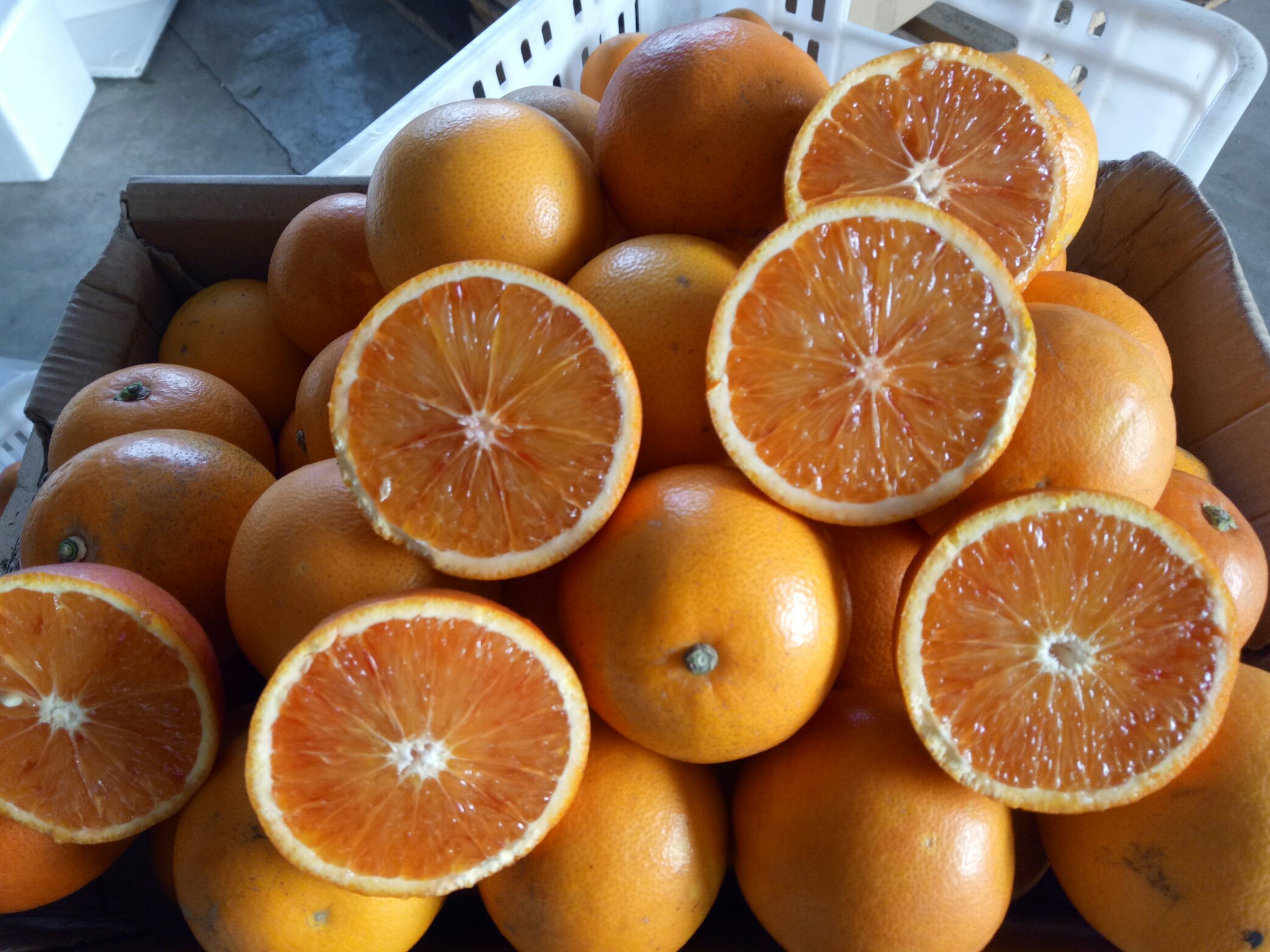 血橙果肉切片展示