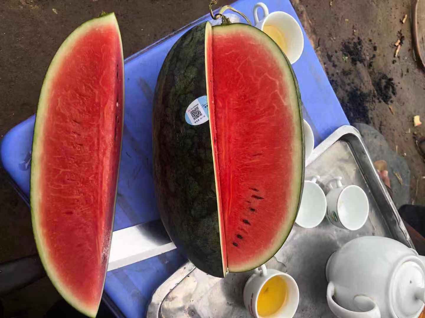 一家三口坐在客厅沙发上,孩子正开心地吃着盘中的红色迷你西瓜,父母微笑陪伴,茶几上放着整颗未切的小西瓜和玻璃果盘,室内光线柔和,氛围温馨幸福 家庭成员在客厅享用切好的迷你西瓜