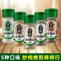 烧烤调料套装全套家用调味料孜然粉辣椒粉椒盐粉烤肉烤鱼腌料