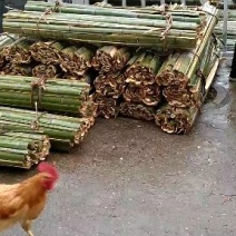 竹