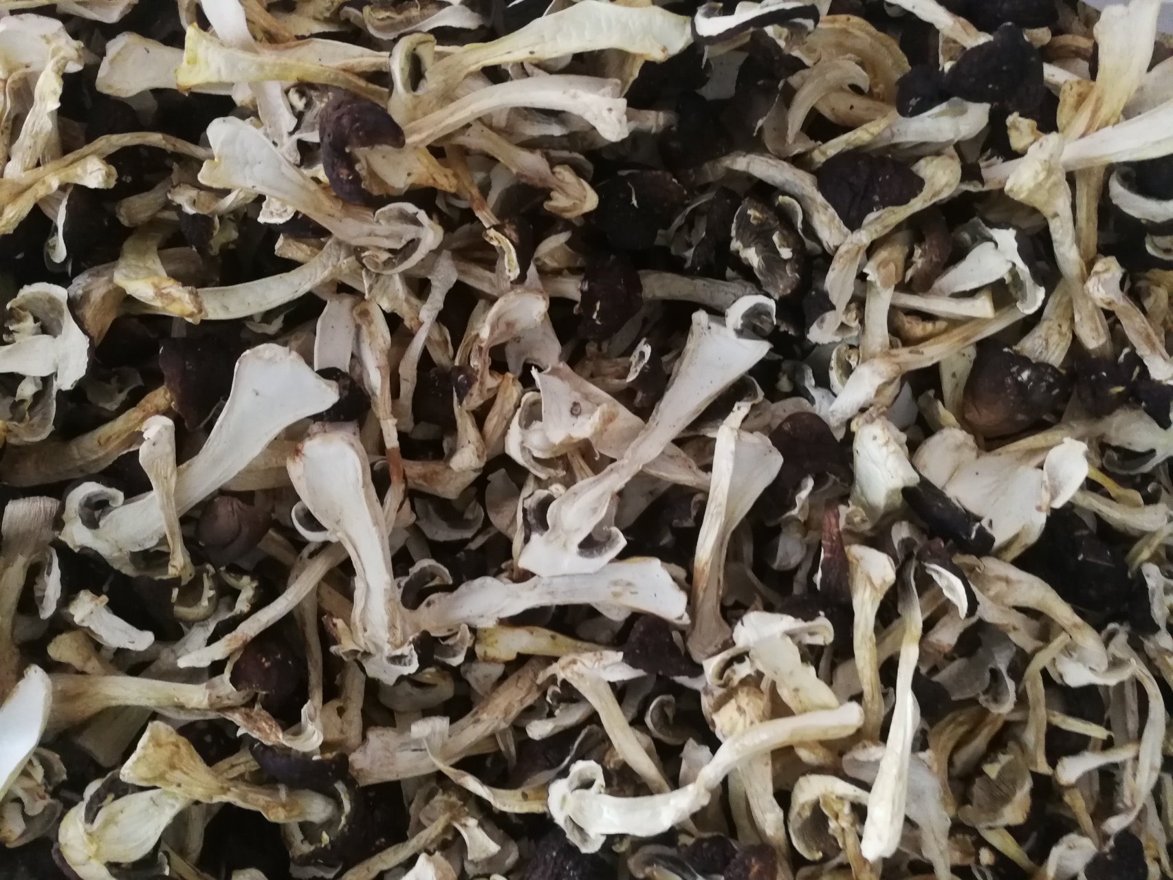 干香菇成品菜肴摆盘图