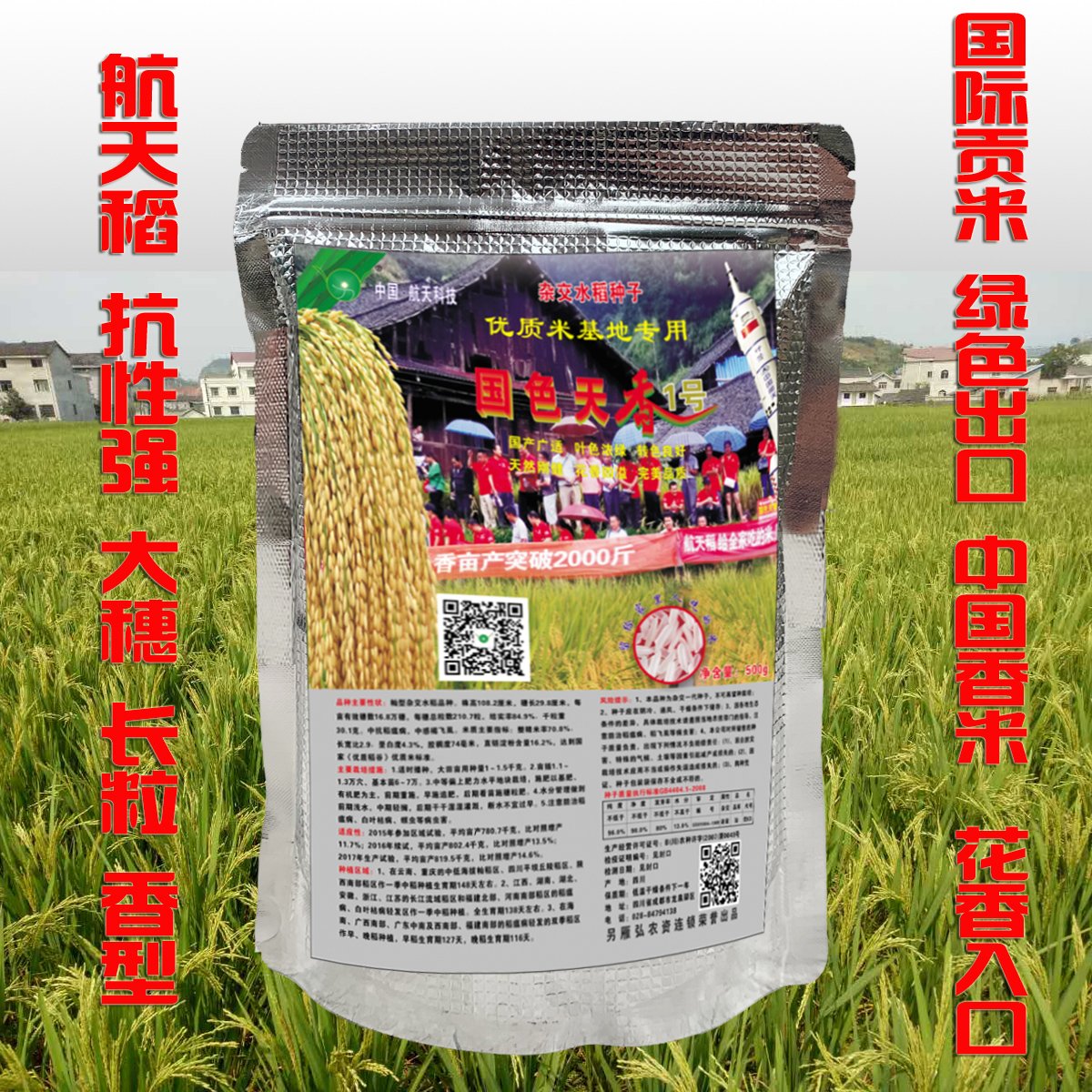 [水稻种子批发]航天稻一级米饭好吃杂交水稻种子高产谷种稻谷正品包邮