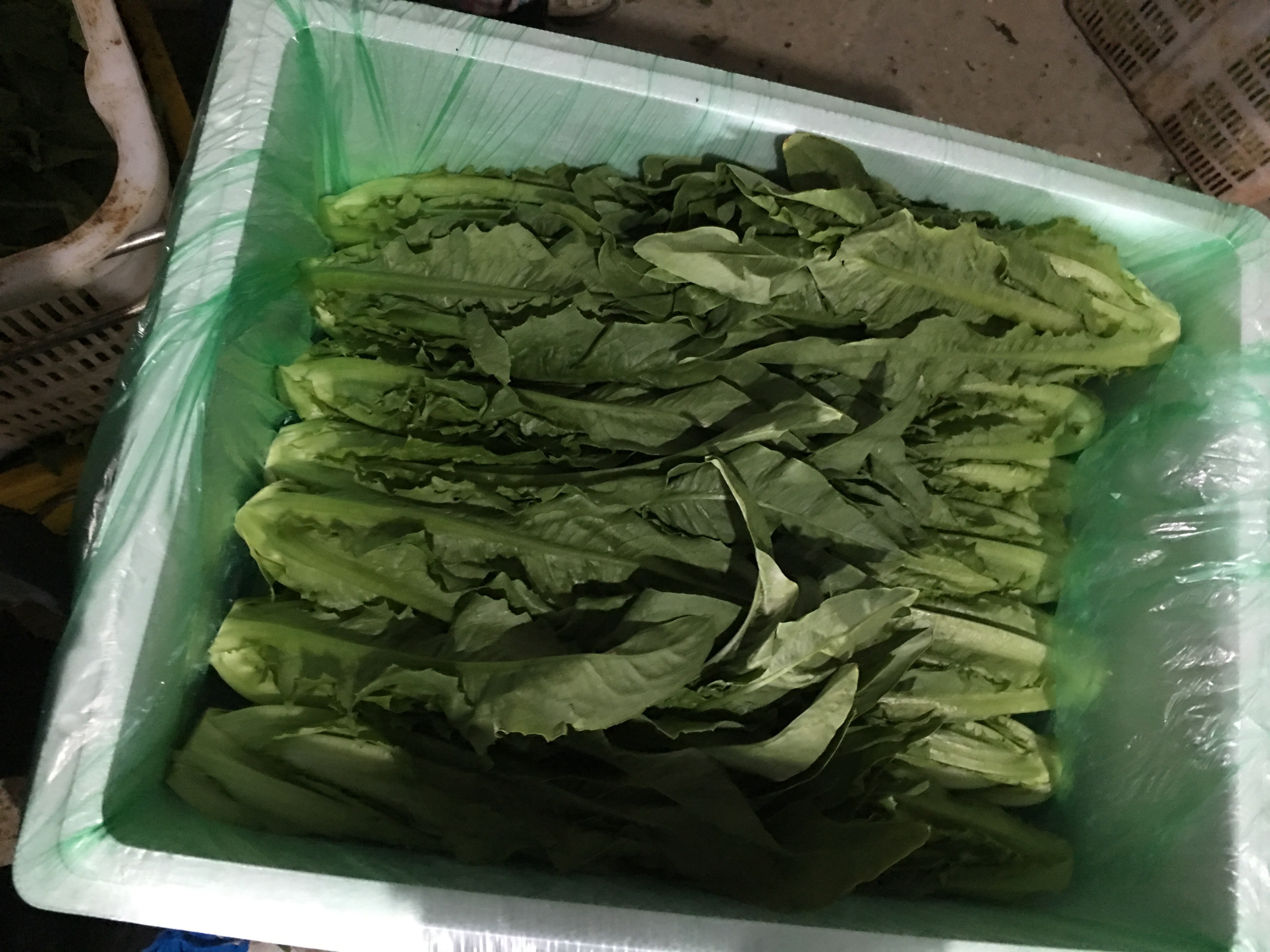 新鲜生菜摆放在餐盘中，搭配鸡蛋和全麦面包